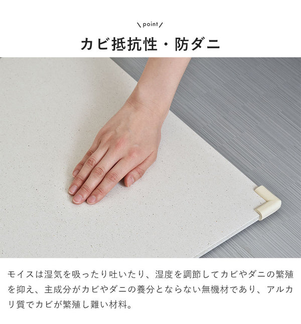 バスマット 速乾 45.5×35cm 吸水 日本製 防カビ お風呂マット 足ふきマット