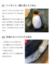 流しそうめん機 ペンギン 家庭用 流しそうめん器 電池式