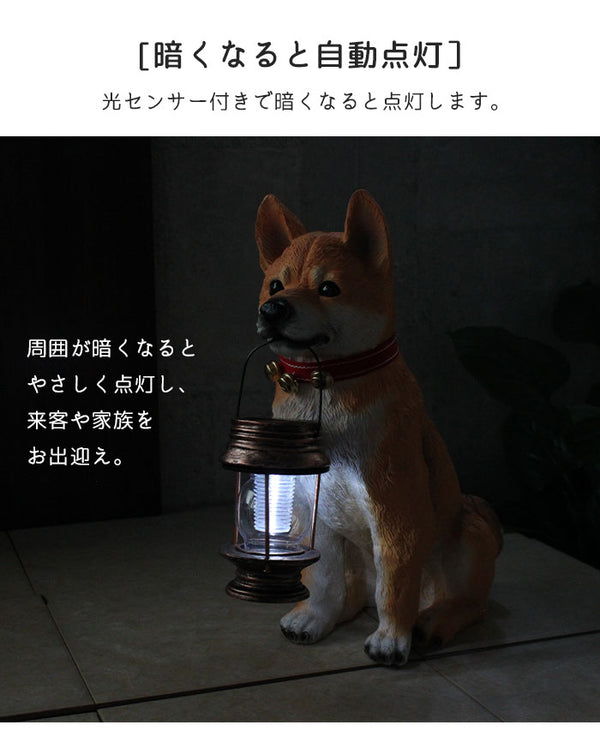 ソーラーライト 屋外 おしゃれ 屋外照明 ガーデンライト 太陽光 ライト 自動点灯 センサーライト ソーラー 犬 置物